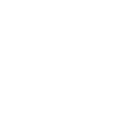 Home Icon